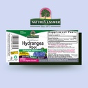 nature-s-answer-hydrangea-root-with-orga-2.jpg