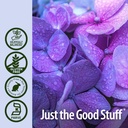 nature-s-answer-hydrangea-root-with-orga-5.jpg