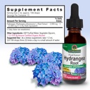 nature-s-answer-hydrangea-root-with-orga-4.jpg