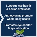 life-extension-standardized-european-bil-4.jpg