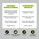 amandean-boswellia-serrata-extract-500mg-4.jpg