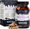 North Spore Organic 'Spectrum 10' Mushroom Extract Capsules | Cognitive Supplement | Lion's Mane, Chaga, Cordyceps, Reishi, Turkey Tail | 10 Medicinal Mushrooms | Energy, Focus, Clarity - 120 ct