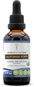 California Poppy USDA Organic Tincture | Alcohol-FREE Extract, High-Potency Herbal Drops | Made from 100% Certified Organic California Poppy (Eschscholzia Californica) Dried Herb and Flower (2 oz)