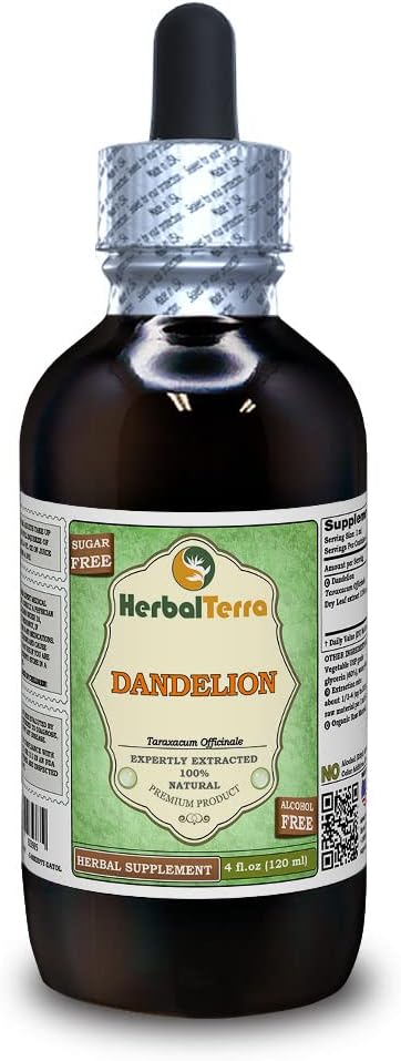 Dandelion (Taraxacum Officinale) Glycerite, Organic Dried Leaves Alcohol-Free Liquid Extract (Brand Name: HerbalTerra, Proudly Made in USA) 4 fl.oz (120 ml)