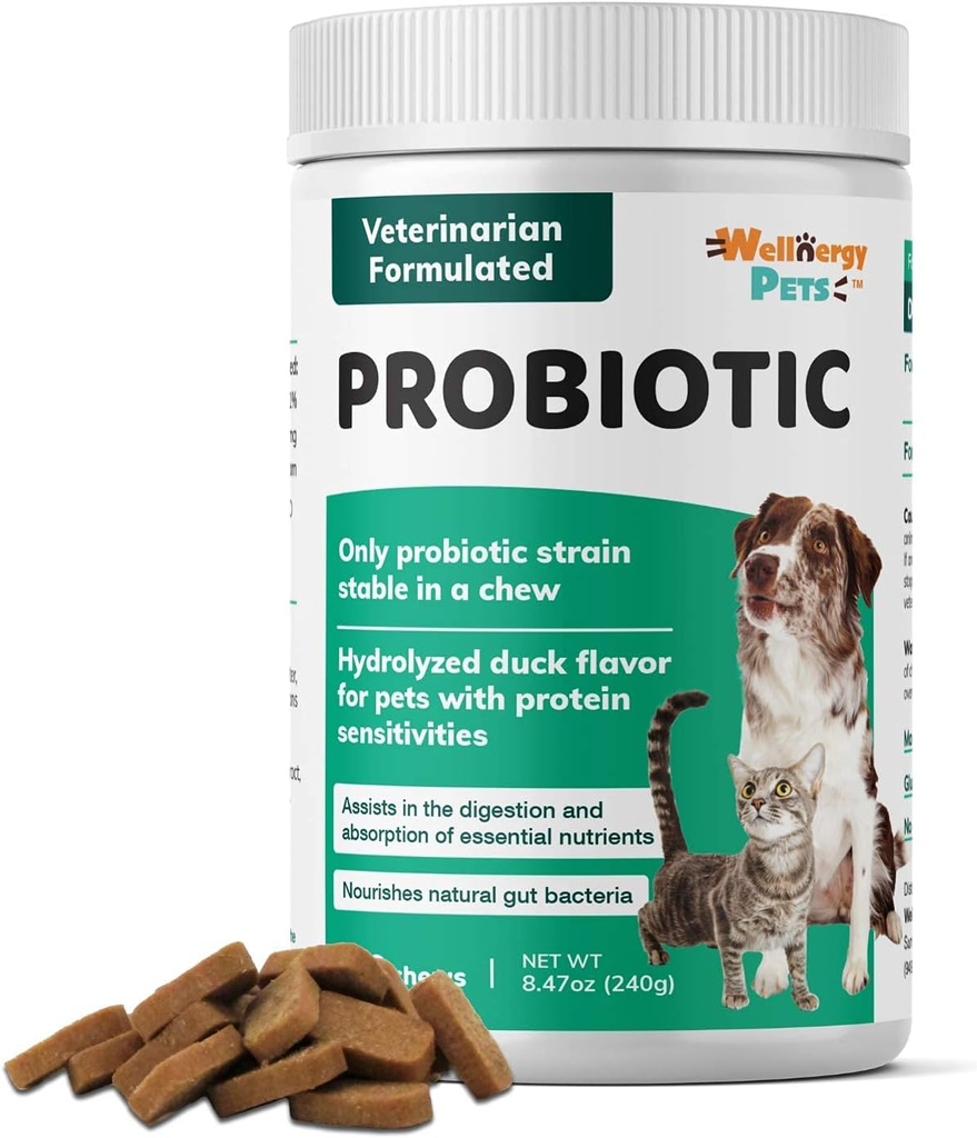 Wellnergy Daily Probiotic & Prebiotics Soft Chew for Dogs & Cats - Digestive Support for Diarrhea, Constipation, Upset Stomach, Indigestion & Gas - Helps Digestion, Allergy Skin & Immune Health 160ct