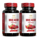 URIC Acid - Urinary Tract Support, Advanced Herbal Formula, Tart Cherry, Celery Extract, Turmeric, Uric Acid Balance, Joint Health - 2 Bottles 120 Capsules