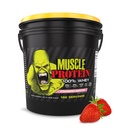 COLOSSAL LABS Muscle Protein Whey Powder [12 lbs/Pack of 1]– Cold Filtered, 25g Pure Protein, 6.6g BCAAs (Packaging May Vary) (12LB, Strawberry)