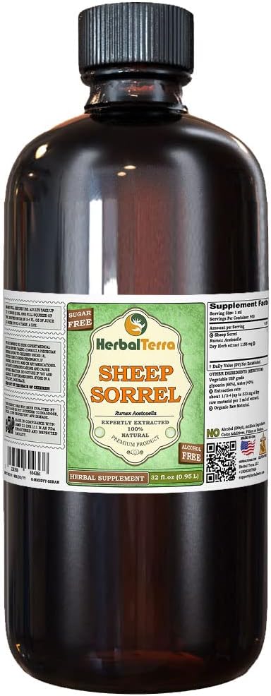Sheep Sorrel (Rumex Acetosella) Glycerite, Organic Dried Herb Alcohol-Free Liquid Extract (Brand Name: HerbalTerra, Proudly Made in USA) 32 fl.oz (0.95 l)
