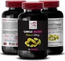 Ginkgo biloba Supplement - Ginkgo BILOBA Extract - Natural antioxidant Extract, Herbal antioxidant Support, Natural Extract, Ginkgo biloba Benefits, Botanical Extract Supplement 1 Bottle 60 Capsules