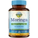 Terranics Moringa Capsules, Pure Moringa Oleifera Leaf Powder, Energy, Skin, Immune Health, Non GMO, No Gluten, Natural Green Superfood Supplement, 240 Vegan Caps