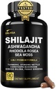 DLNIA Shilajit 9-in-1 Capsules – Organic Himalayan Complex with Ashwagandha, Sea Moss, Turmeric & More – Vegan, Lab-Tested, Immune & Energy Support for Men & Women – 90 Capsules