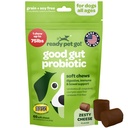 Probiotic Chews for Dogs Gut Health | Tasty Pre and Probiotics for Dogs Digestive Health with Pumpkin Dog Probiotics and Digestive Enzymes | NASC Certified & Made in The USA | 60 Chews