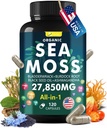 Sea Moss Capsule Complex with Sea Moss, Black Seed Oil, Aşhwagandha, Ginger & Vitamins C, D3-120 Capsules,Superfood Supplements - Advanced Seamoss Pills, Wild Sea Moss Pills, Made in USA