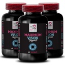 Visual clarity - EYE VISION SUPPLEMENT - Lens support, Vivid vision, Focus improvement, Vision strength, Clearer scenes, Eye support, Focus boost, Clearer view, Sharp details 3 Bottle 180 Capsules