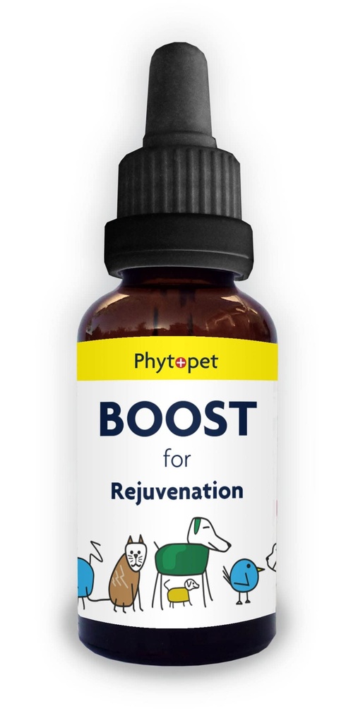 Phytopet Boost | 30ml | 100% Natural Herbal Remedy | Promotes Stamina, Recovery, Wellbeing | For Dogs, Cats, Birds, Horses, Pets |
