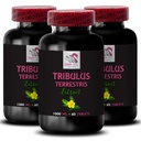 Tribulus Terrestris for fitness - TRIBULUS TERRESTRIS EXTRACT - Pure Tribulus extract, Tribulus Terrestris benefits, Tribulus Terrestris uses, Tribulus Pills, Tribulus extract benefits 3Bot 180Caps