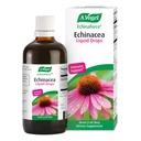 A. Vogel Echinaforce Organic Echinacea Drops, Immune Support, 1.7 oz