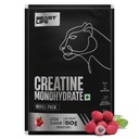 BEASTLIFE Super Micronized Creatine Monohydrate Powder 50g Refill Pack | 13 Servings Litchi Flavor | NABL Lab Tested | Premium Sports Nutrition for Strength & Performance