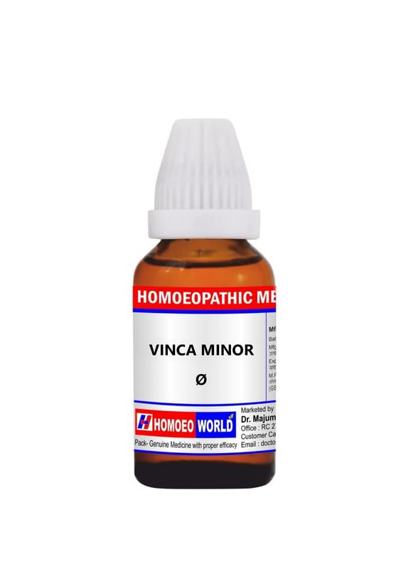 VINCA MINOR Q