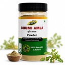Bhumi Amla Powder/Churn - Organic And Pure Ingredient Extract For Healthy Liver Functioning And Digestive Strength | Enriched With Essential Nutrients | 100gm