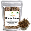 Bhumi Amla (Raw) - 125 g - Bhui Amla/Phyllanthus Niruri/For Liver Health - Raw Herb