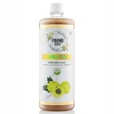 Amla Pro: 100% Raw & Cold-Pressed Amla Juice | Supports Healthy Skin, Hair, and Digestion | Rich Source of Vitamin C | 1Ltr | Pack of 1