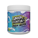 Crea-Gayor Micronized Creatine Monohydrate (Unflavoured,100g)