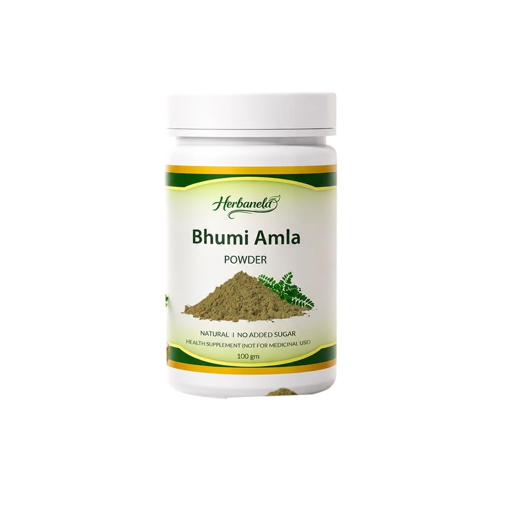 Bhumi Amla Powder | Premium Herbal Powder | Supports Liver Health, Digestion & Daily Wellness | Natural Ayurvedic Supplement | No Artificial Colours or Preservatives