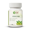 Pure Nutrition Amalaki Tablets | Amla Tablets | Amla Supplement Rich in Natural Vitamin C for Immunity, Antioxidant Support, Skin & Daily Wellness | Ayurvedic Herbal Formula - 250mg 90 Tabs