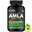 Amla Extract | 10X Potency | With Zinc & Ginger | Enhanced Absorption | Triple Action Immunity & Antioxidant Support | Digestive & Respiratory Wellness | 90 Veg Capsules | WHO-GMP, ISO & HACCP Certified