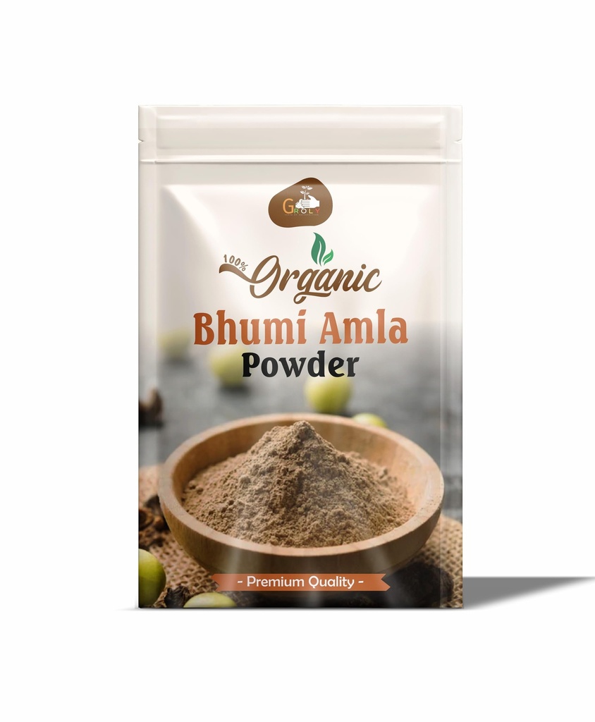 Bhumi Amla Powder/Churn 250 gm | Organic Ingredient Extract For Healthy Liver Functioning And Digestive Strength | Enriched With Essential Nutrients | Amla Powder for Hair, Drinking & Eating