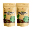 Bhumi Amla Powder | Natural Ayurvedic Herb for Wellness and Daily Nutrition | Pure, Natural and Preservative Free | 125g Pack x Pack of 2