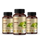 Jiva Amla Tablets 500mg 360 Tablet | 100% Pure Herbs Used, Rich In Vitamin C | Protects Against Free Radicals | Rich In Antioxidants | Improves Digestion | Enhances Vision -120 Tablet (Pack of 3)