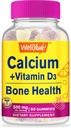 WellYeah Calcium 500mg + Vitamin D3 1000 IU (25 mcg) Gummies - Bone Health and Muscle Supprt, Immune Support Gummy, Non GMO, Gluten Free, Mix Fruit Flavors - 60 Gummies
