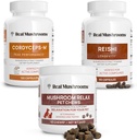 Real Mushrooms Reishi & Cordyceps for Humans & Mushroom Pet Relax Chews - Bundle for Relaxation, Energy & Immunity - Vegan, Non-GMO, Gluten-Free, Grain-Free Mushroom Extract Supplements