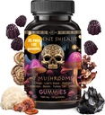 ad hoc Shilajit Pure Himalayan Organic Gummies - Immune Support, Energy Support Supplements - Shilajit Resin Lions Mane, Cordyceps, Reishi, Turkey Tail, Chaga,Shiitake Mushroom Gummies (120 Ct)
