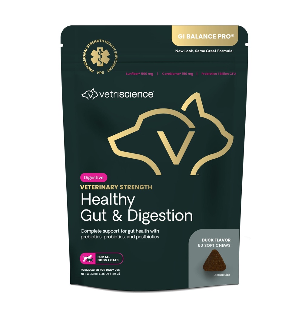 VetriScience Veterinary Strength Healthy Gut & Digestion - Pet Digestive Health Supplement for Cats & Dogs - Gut Health & Immune Support - Features Probiotics, Prebiotics & Postbiotics - 60 Count