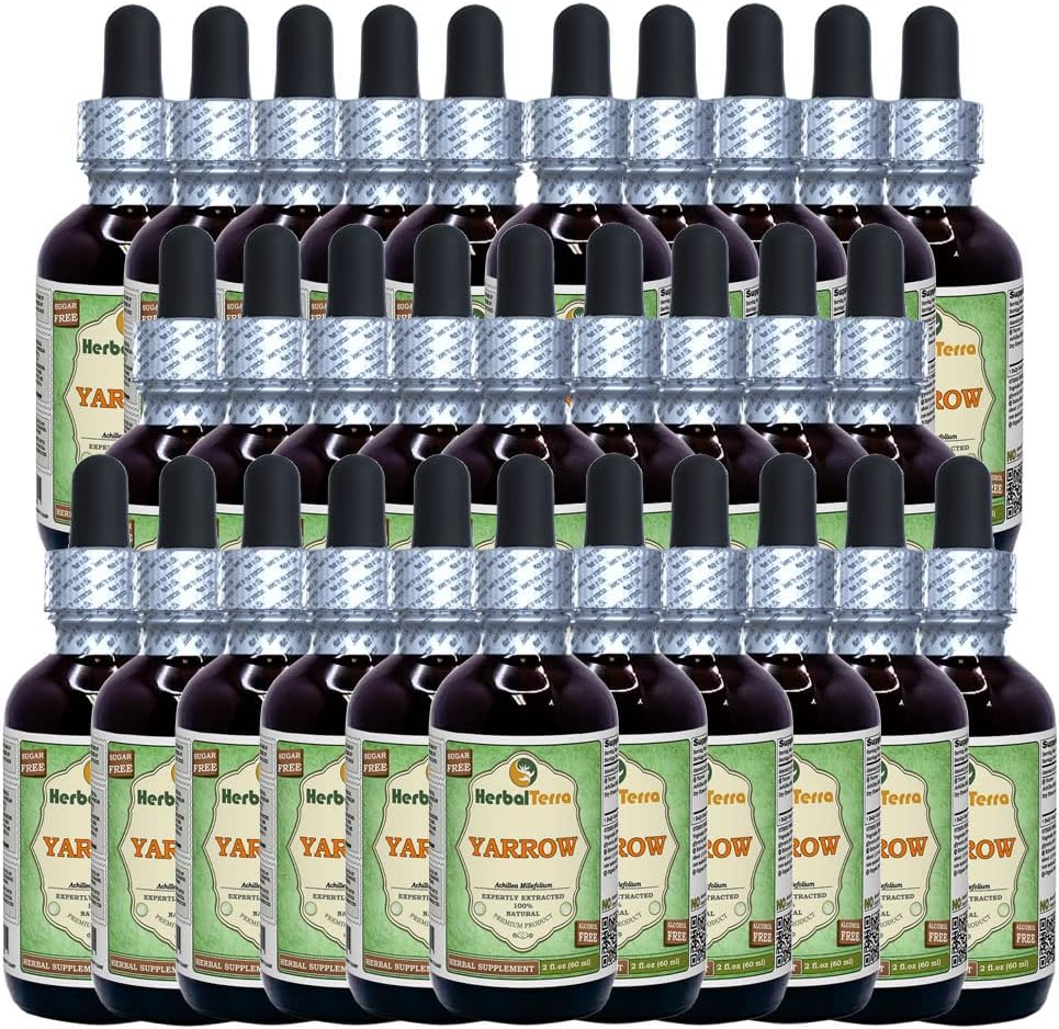 Yarrow (Achillea Millefolium) Glycerite, Organic Dried Flowers Alcohol-Free Liquid Extract (Brand Name: HerbalTerra, Proudly Made in USA) 30x2 fl.oz (30x60 ml)
