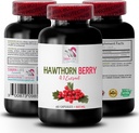 hawthorn extract supplement - HAWTHORN BERRIES EXTRACT - hawthorn berry antioxidant, hawthorn berry extract capsules, berry extract powder, wild berry energy, hawthorn energy 1 Bottle 60 Capsules