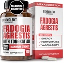 Fadogia Agrestis 1500mg [Highest Purity] + BioPerine® for High Absorption Supplement with Tongkat Ali - Increase Stamina, Lean Muscle Growth & Recovery, Boosts Drive 3rd Party Tested 120 Capsules