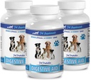 bad dog breath all natural - DOG DIGESTIVE AID PROBIOTICS - NATURAL APPROACH - SOLUTION TO BAD BREATH AND GAS - COUNTER DIARRHEA - lactobacillus acidophilus for dogs - 3 Bottles (180 Treats)