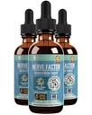 NerveFactor - Advanced Nerve Support Supplement - Liquid Delivery for Better Absorption - Acetyl-L-Carnitine, Alpha Lipoic Acid, Vitamin B12, Folic Acid, White Willow Bark & More!
