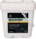 PURICA Recovery Extra Strength - Equine Joint Supplement - Comprehensive Support for Horses - Ideal Horse Joint Supplement for Senior Horses, MSM Powder Included - 11 lb Powder