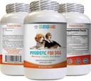 probiotics for Dogs chewable - Dog PROBIOTICS - Bad Breath and Passing Gas Solution - Oral Health - fos Formula - 1 Bottle (60 Treats)