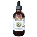 Hawaii Pharm Rehmannia Alcohol-Free Liquid Extract, Professional Grade, Small Batch Crafted Rehmannia (Rehmania Glutinosa) Dried Root Glycerite Natural Herbal Supplement, 4 fl.oz
