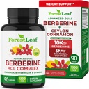 ForestLeaf Berberine Supplement - 1300mg per Serving - Ultra High Potency Berberine HCl with Ceylon Cinnamon, Bitter Melon & Gymnema - GLP-1 Weight Management Support - 90 Caps