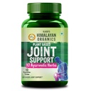 Vlado’s Himalayan Organics Plant Based Joint Support - 10 Veg Tablets