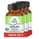 A TATA Product - Organic India Amalaki - 60 Veg Capsules (Pack of 3), Natural Vitamin C & Antioxidants, Boosts Immune Response, Detoxify & Rejuvenate Digestive System, Reduce Acidity