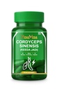 Cordyceps Sinensis (Keeda Jadi) 500mg Supplement with Reishi & Turkey Tail Mushroom Extract | Energy, Stamina & Lungs Support Capsules | 90 Veg Capsules