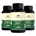 Rasayanam Ashwagandha KSM-66® | Clinically Proven 600mg Dosage | 5.1% Withanolides for Max Results | 100% Pure Root Extract | Stress Relief, Energy & Recovery Support | World’s Strongest Ashwagandha | Pack of 3 ( 60 Capsules each )
